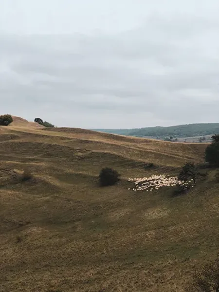 TAMAMLANMAYAN BİR ARAZİ ÇALIŞMASI