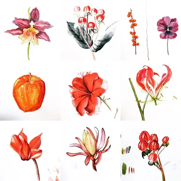 Transilvanya Florilegium