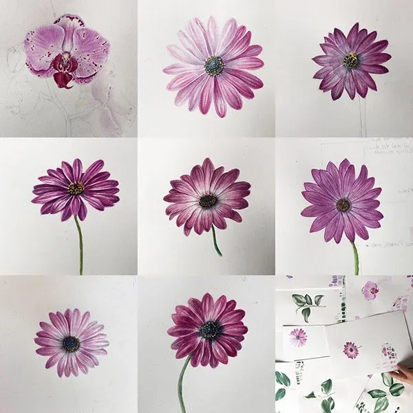 Transilvanya Florilegium