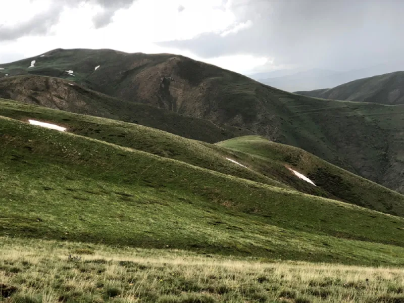 Anadolu’nun Doğusu ve Bitkileri
