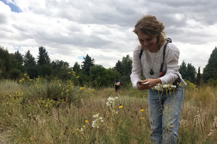 Denver Botanik Bahçesi’ni ziyaret
