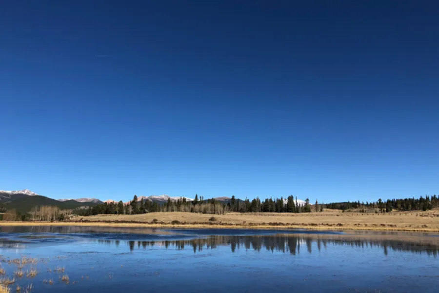 Denver Botanik Bahçesi’ni ziyaret