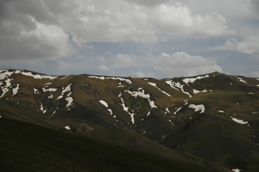 NAVRUZLAR ÇİÇEKTE