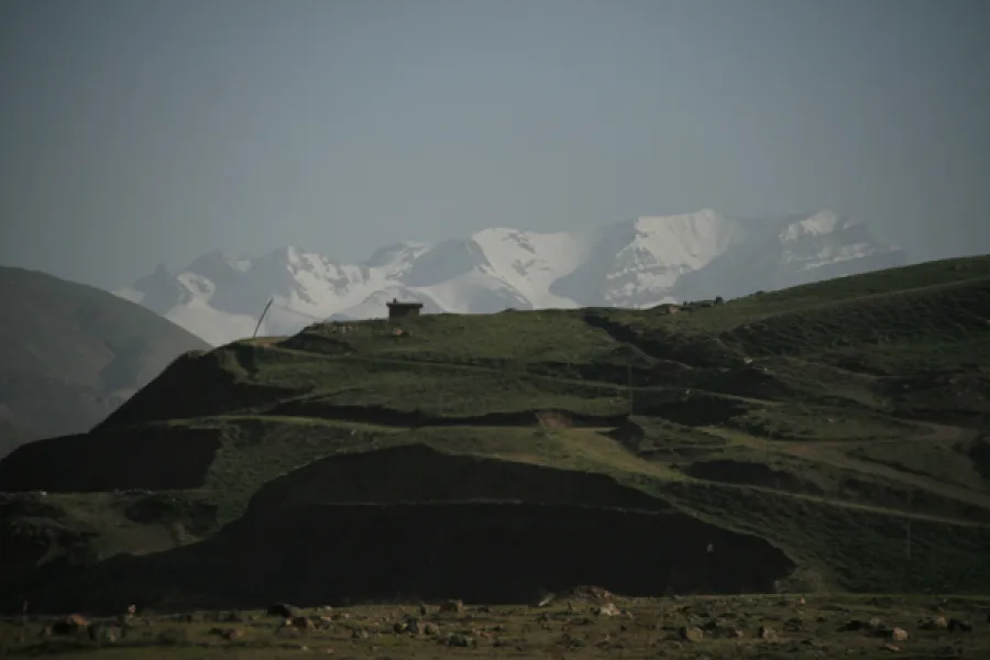 NAVRUZLAR ÇİÇEKTE