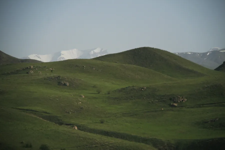 NAVRUZLAR ÇİÇEKTE
