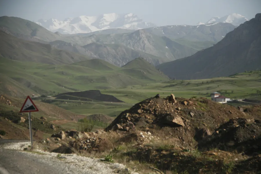NAVRUZLAR ÇİÇEKTE