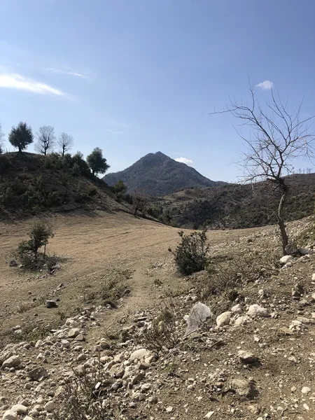 İRİS'LERR ÇAĞIRIYOR!