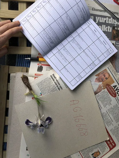 İRİS'LERR ÇAĞIRIYOR!