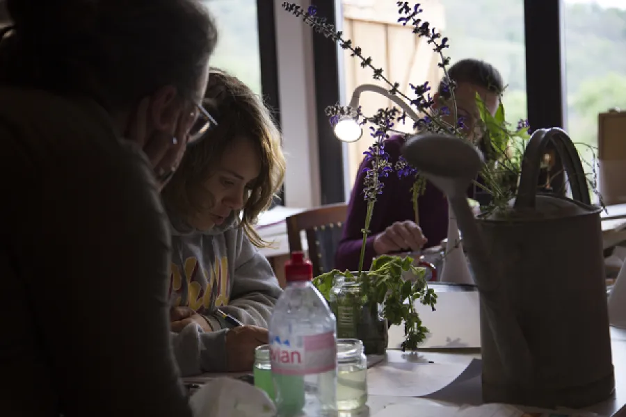 Yeniden Transilvanya!