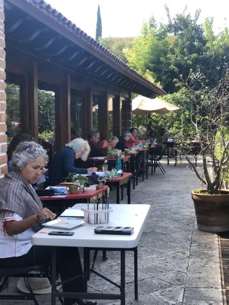 MEKSİKA'NIN ÖZETİ