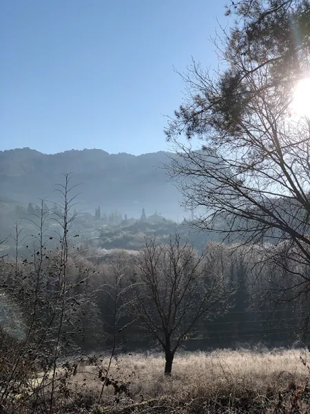 TAMAMLANMAYAN BİR ARAZİ ÇALIŞMASI