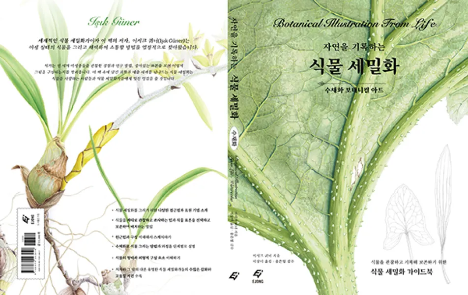 BEŞİNCİ ÇEVİRİ - KORECE