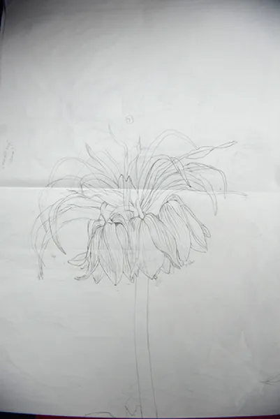 Sason’a Dönüş - Fritillaria imperialis
