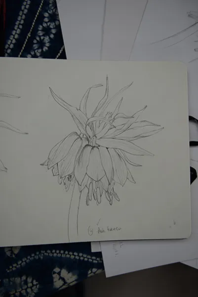 Sason’a Dönüş - Fritillaria imperialis
