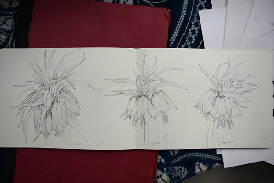 Sason’a Dönüş - Fritillaria imperialis