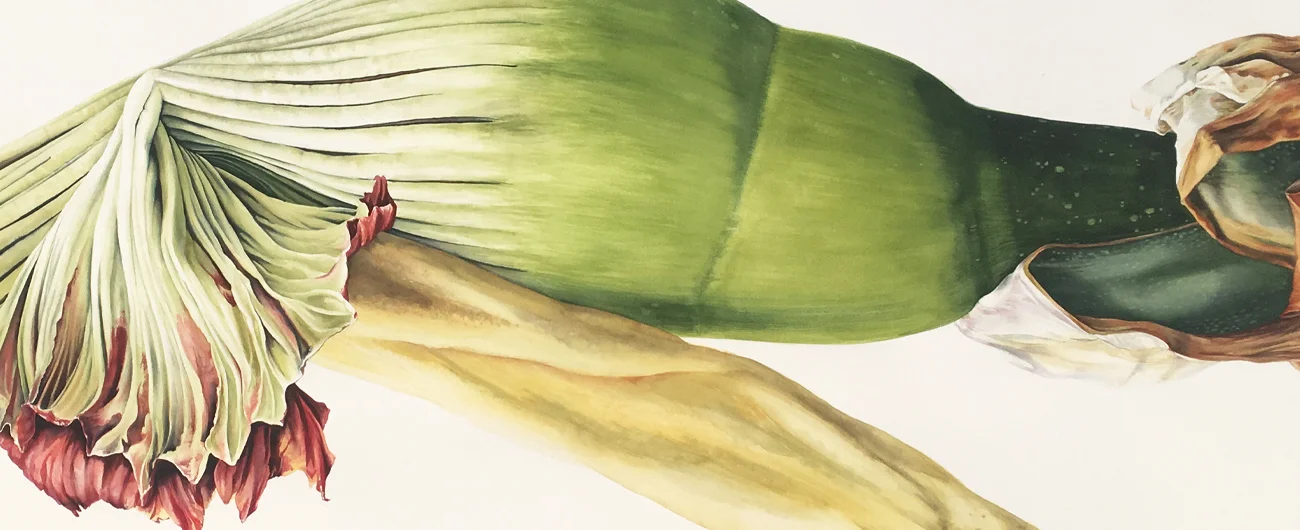 Titan arum triptychSuluboya, 2026
260 x 100 cm (110″ x 40″)