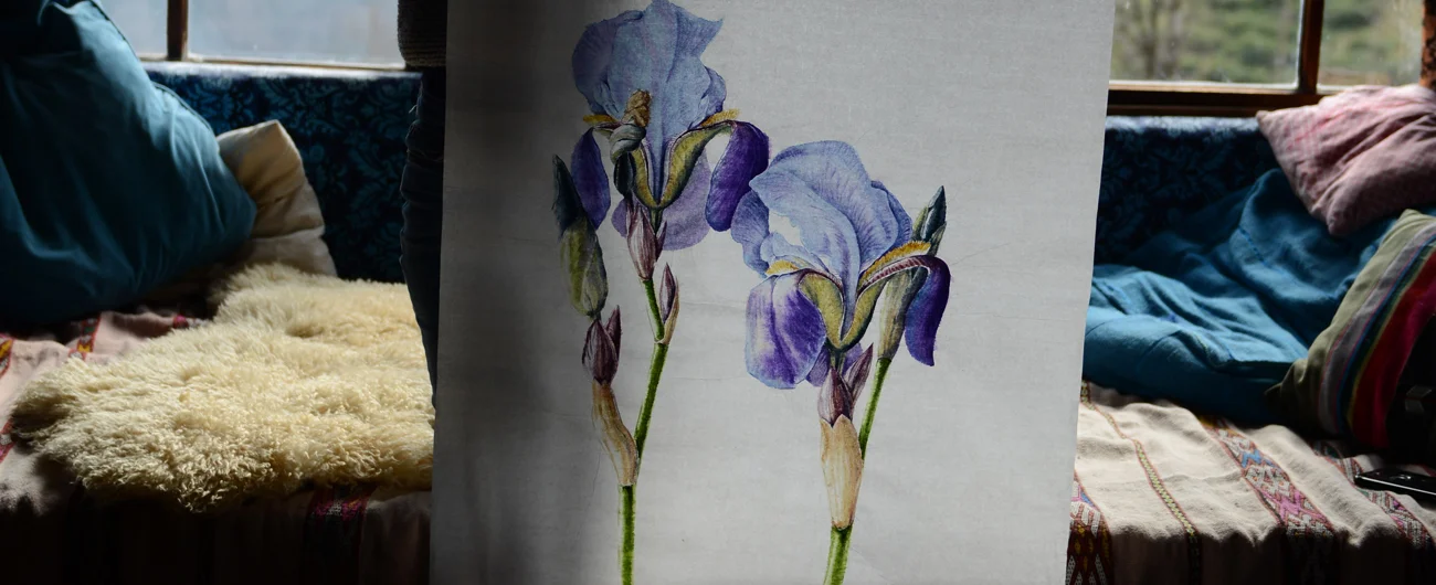 Tulipa sprengeriPrinç kağıdı üzerine suluboya, 2026

80 x 130 cm