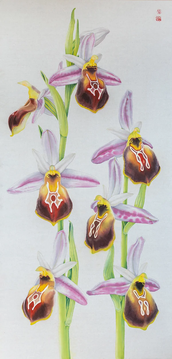 GülsümbülüPrinç kağıdı üzerine suluboya, 2026

65 x 135 cm