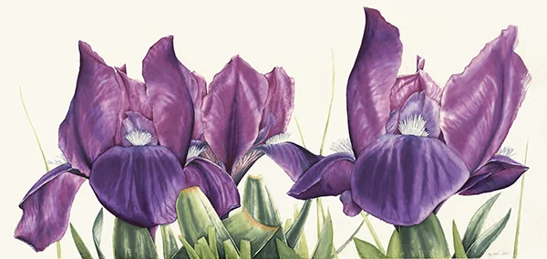 Sütlü güşadPrinç kağıdı üzerine suluboya, 2026

135 x 65 cm