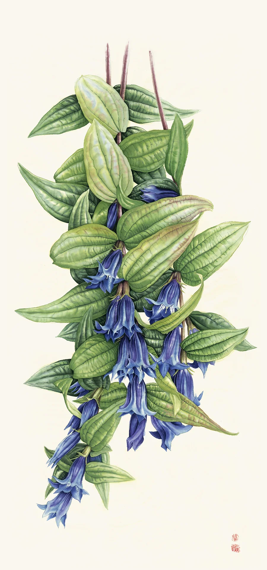 Çayır çıngırağıPrinç kağıdı üzerine suluboya, 2026

135 x 65 cm