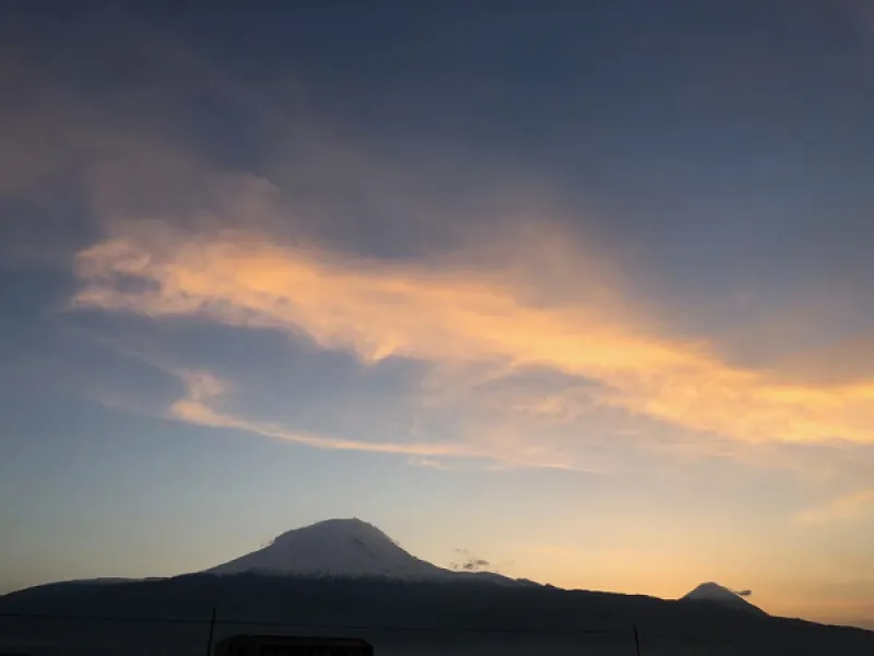 Anadolu’nun Doğusu ve Bitkileri