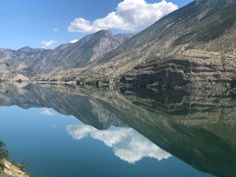 Anadolu’nun Doğusu ve Bitkileri