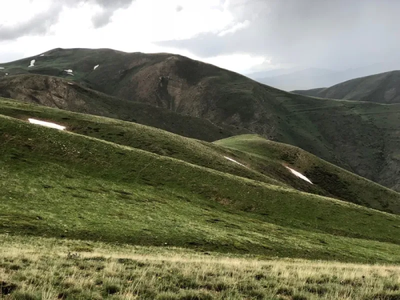 Anadolu’nun Doğusu ve Bitkileri