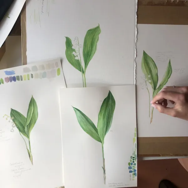 İPEK YOLU, TÜRKİYE