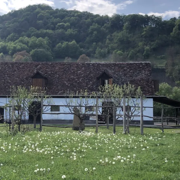 İPEK YOLU, TÜRKİYE