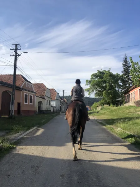 İPEK YOLU, TÜRKİYE